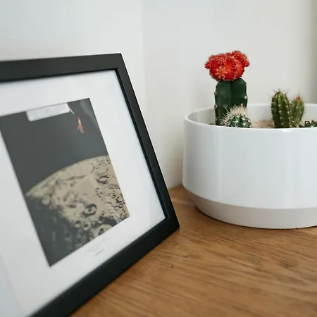 Comfortable And Cosy A Few Steps From Dancing House And Naplavka Dance Prague